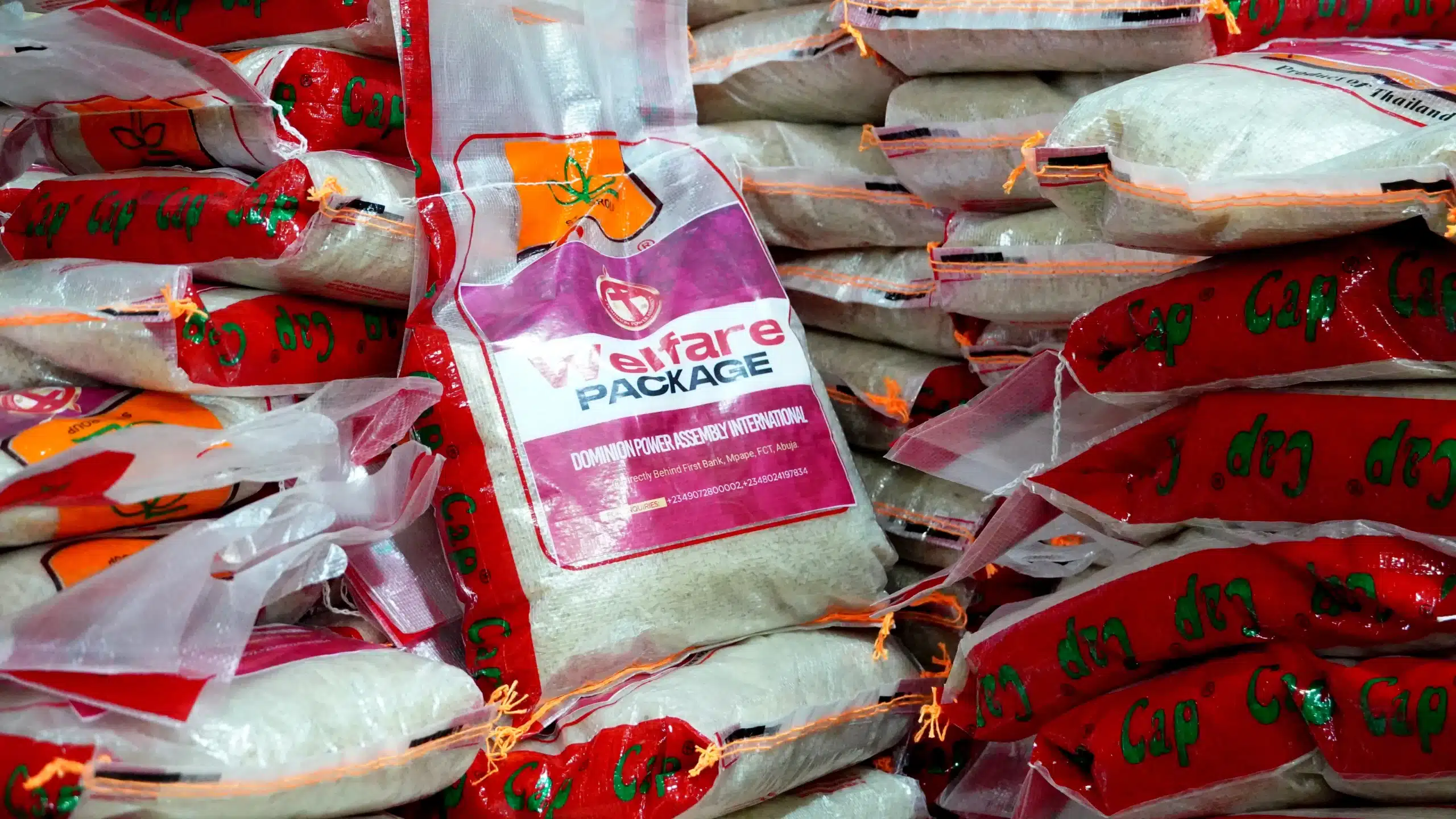 POMI foundation photos (7)